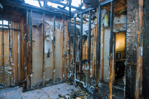 Professional Fire Damage Removal technician working in Parkville, PA