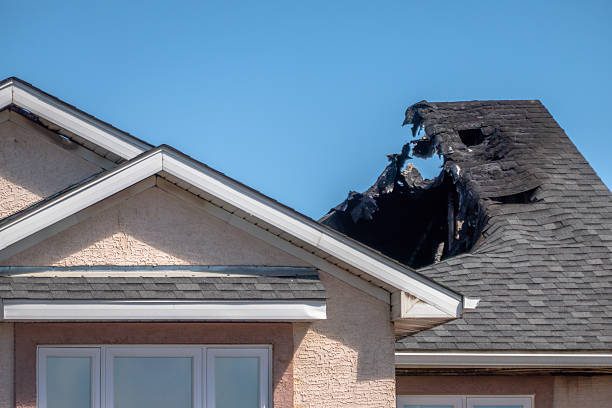 Top rated local Fire Damage Removal specialists in Parkville, PA